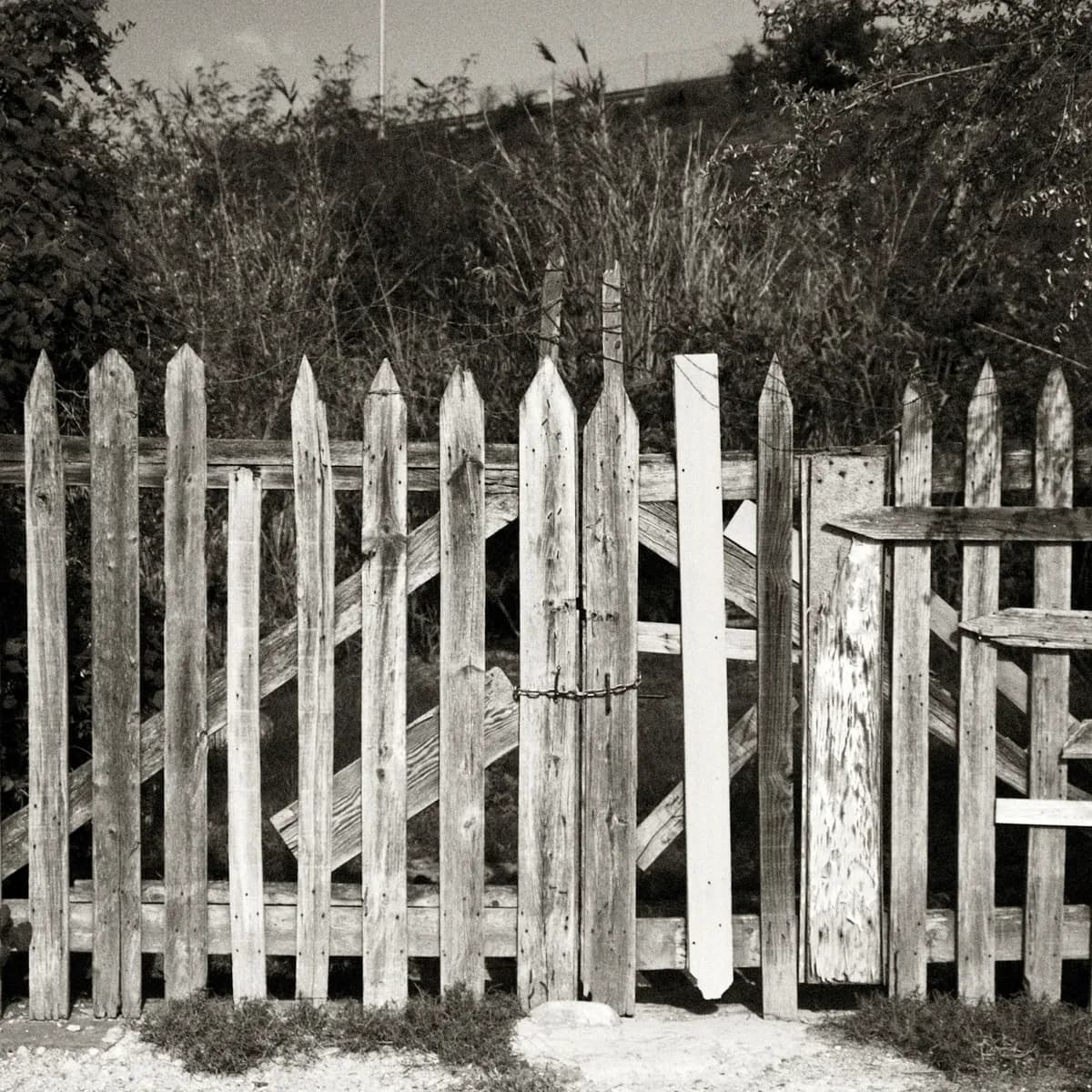 Custom redwood fence with gate in San Jose